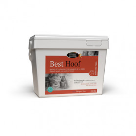 Best Hoof - Biotine Chevaux en granulés - Horsemaster
