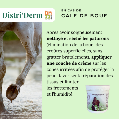 Distri’Derm – Crème cicatrisante naturelle cheval | DistriHorse33