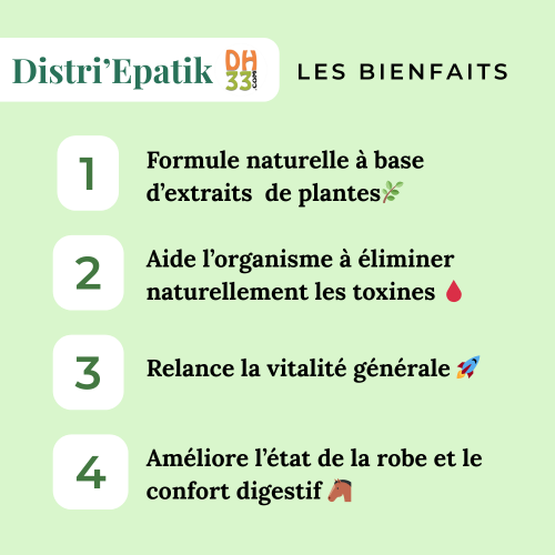 Drainage foie cheval : Distri’Epatik naturel pour foie et reins