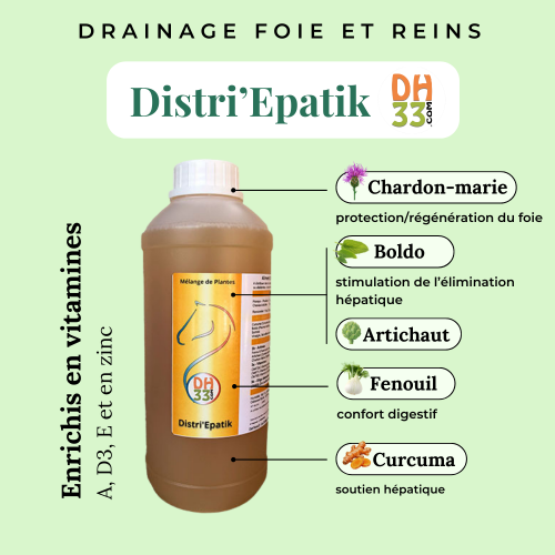 Drainage foie cheval : Distri’Epatik naturel pour foie et reins