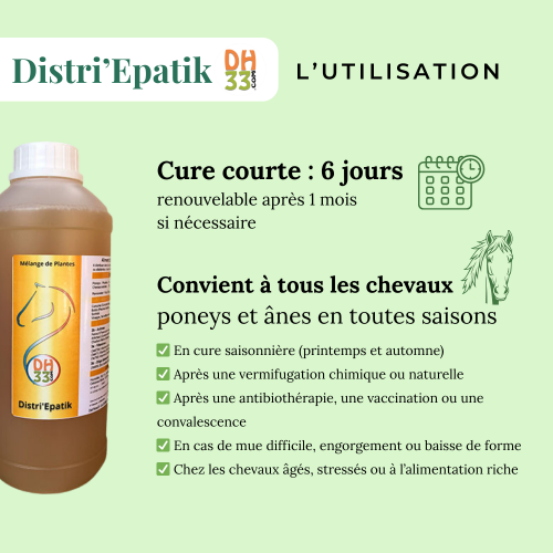 Drainage foie cheval : Distri’Epatik naturel pour foie et reins
