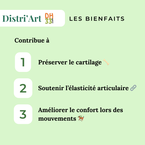 Distri'Art - Arthrose cheval
