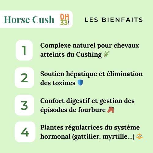Horse Cush - Cushing Cheval