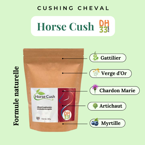 Horse Cush - Cushing Cheval