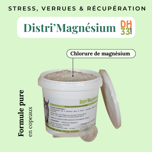 Magnésium cheval 🧘 : stress, verrues et récupération