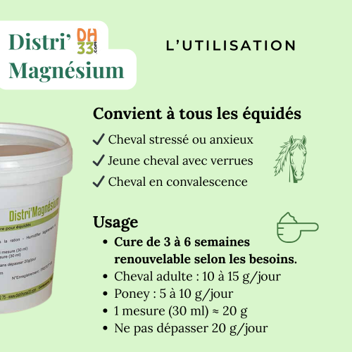 Magnésium cheval 🧘 : stress, verrues et récupération