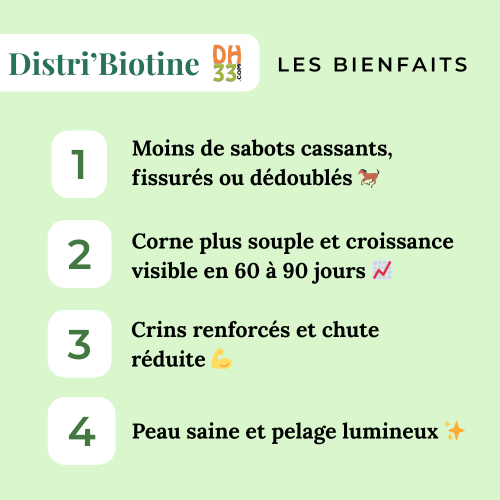 Distri’Biotine – Biotine Chevaux pour Sabots, Pelage et Santé – Seau 2 kg - DistriHorse33