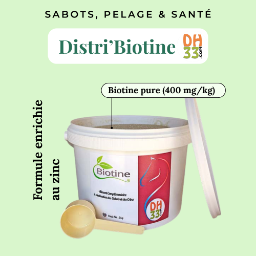 Distri’Biotine – Biotine Chevaux pour Sabots, Pelage et Santé – Seau 2 kg - DistriHorse33