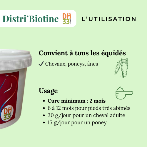 Distri’Biotine – Biotine Chevaux pour Sabots, Pelage et Santé – Seau 2 kg - DistriHorse33