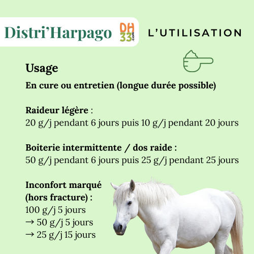 Harpago cheval (Harpagophytum) : confort articulaire & arthrose