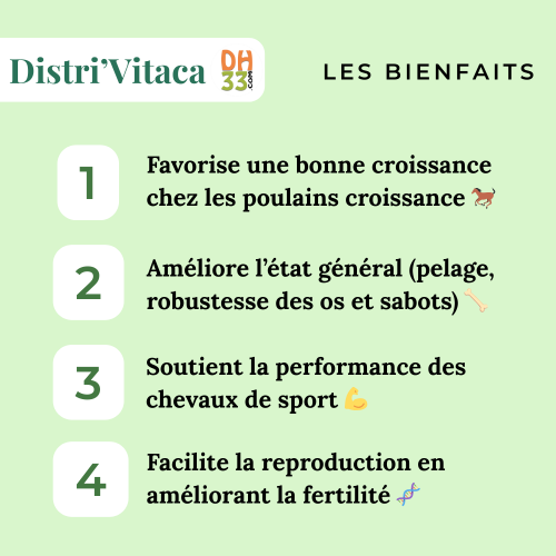 Complément vitamines chevaux - Distri’Vitaca – Minéraux, Vitalité et Performance