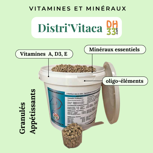 Complément vitamines chevaux - Distri’Vitaca – Minéraux, Vitalité et Performance