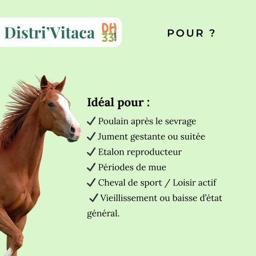 Complément vitamines chevaux - Distri’Vitaca – Minéraux, Vitalité et Performance