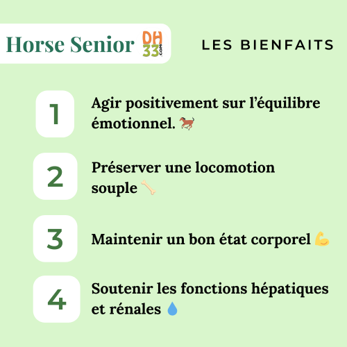 Horse Senior - Vieux Cheval - DistriHorse33