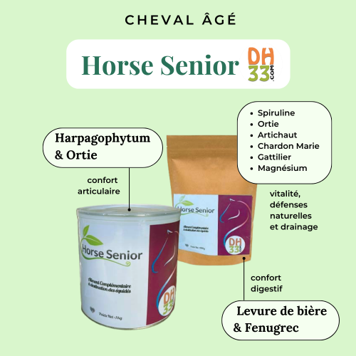 Horse Senior - Vieux Cheval - DistriHorse33