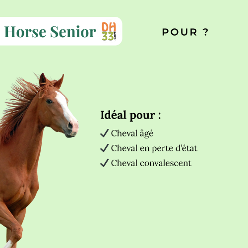 Horse Senior - Vieux Cheval - DistriHorse33
