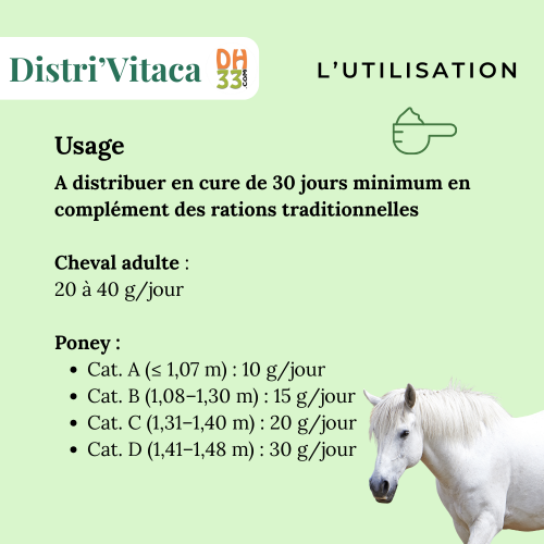 Horse Senior - Vieux Cheval - DistriHorse33
