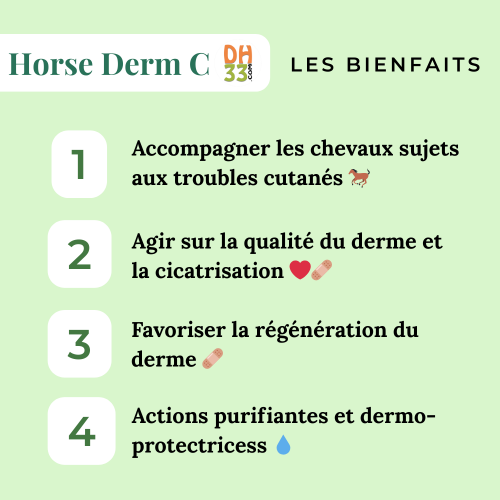 HORSE DERM C - Problème de peau du cheval