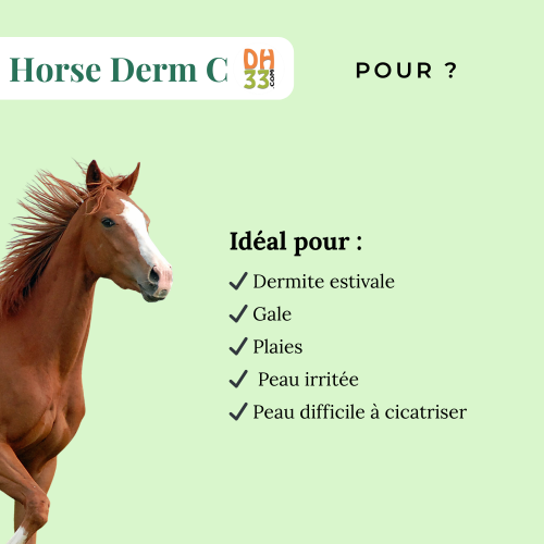 HORSE DERM C - Problème de peau du cheval