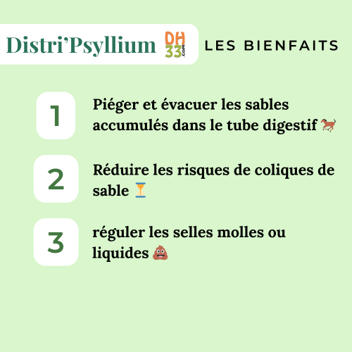 Psyllium cheval - Colique de sable