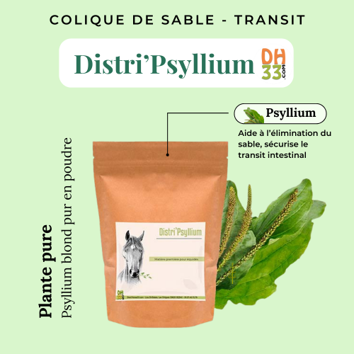 Psyllium cheval - Colique de sable