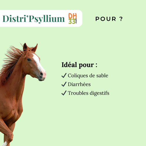 Psyllium cheval - Colique de sable