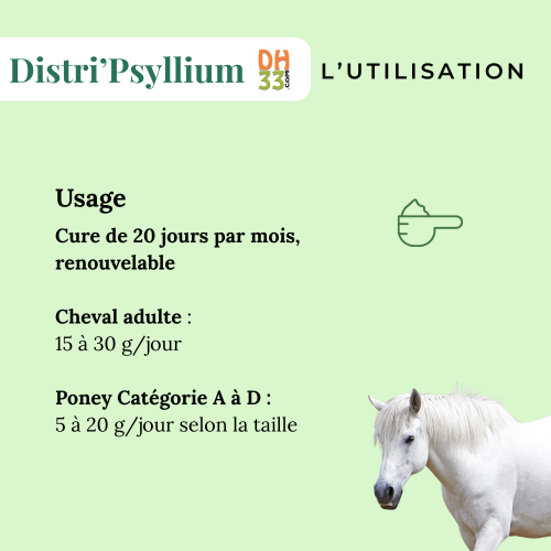 Psyllium cheval - Colique de sable