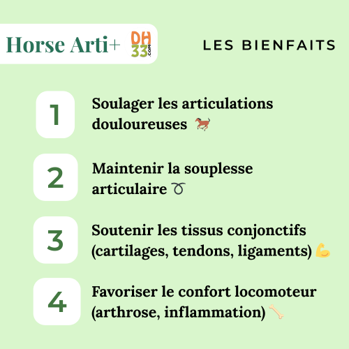 Horse Arti+ | Articulations cheval – Soulagement naturel & confort