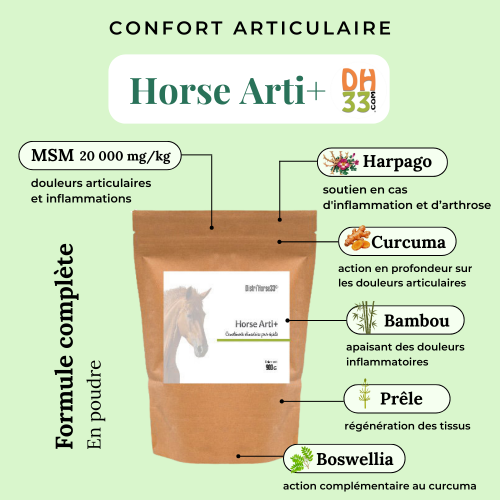 Horse Arti+ | Articulations cheval – Soulagement naturel & confort