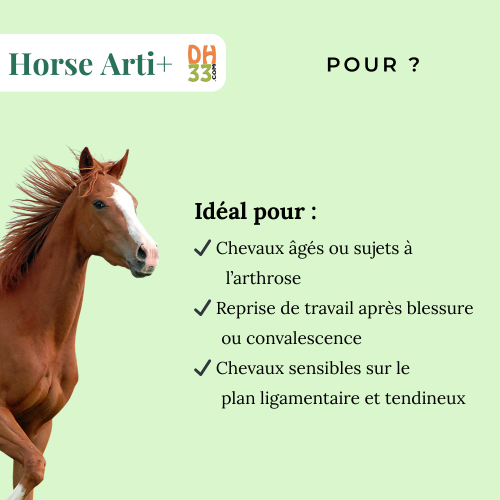 Horse Arti+ | Articulations cheval – Soulagement naturel & confort