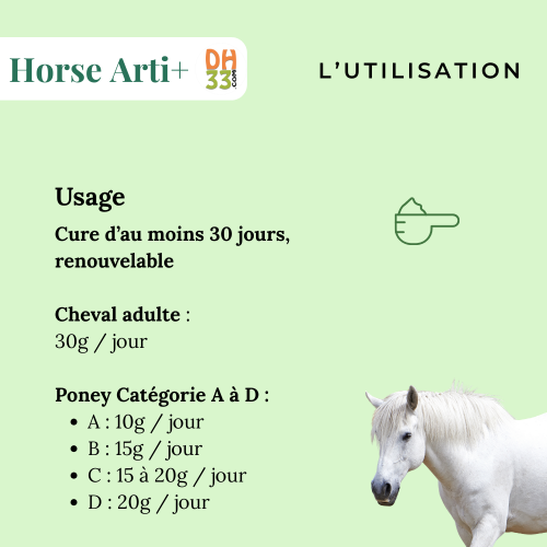 Horse Arti+ | Articulations cheval – Soulagement naturel & confort