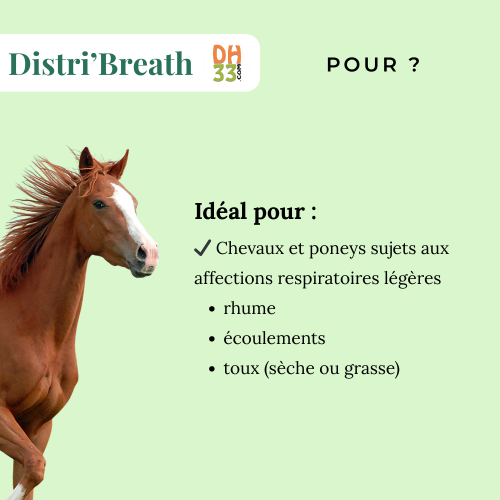 Distri'Breath - Cheval qui tousse