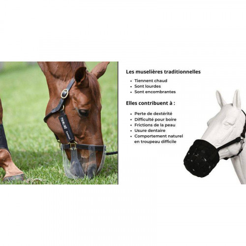 Masque anti-pâturage pour cheval – Contrôle de l’ingestion & prévention de la fourbure