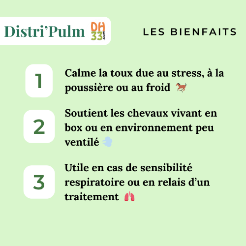 Distri’Pulm : soulager la toux du cheval naturellement