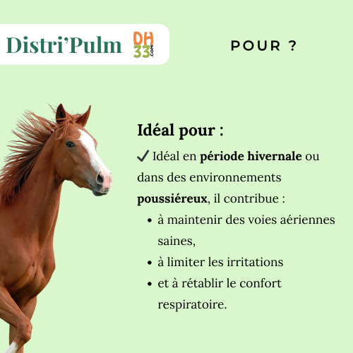 Distri’Pulm : soulager la toux du cheval naturellement