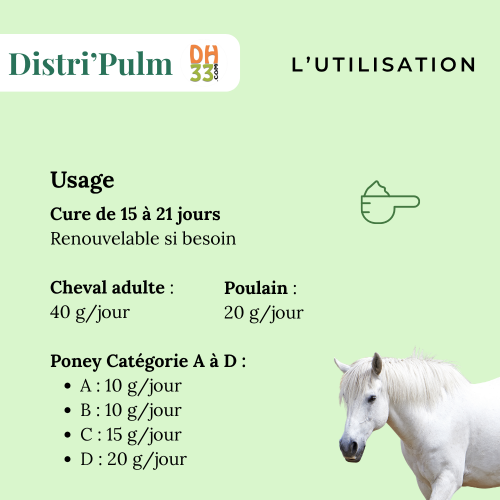 Distri’Pulm : soulager la toux du cheval naturellement