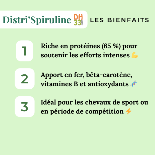 Spiruline Cheval - Protéines et Minéraux
