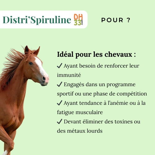 Spiruline Cheval - Protéines et Minéraux