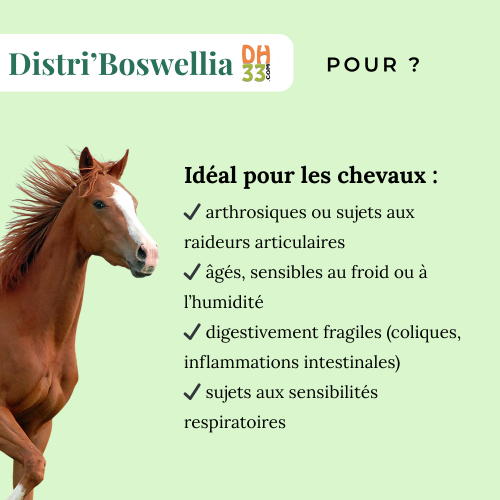 Distri'Boswellia - Arthrose du cheval - DistriHorse33