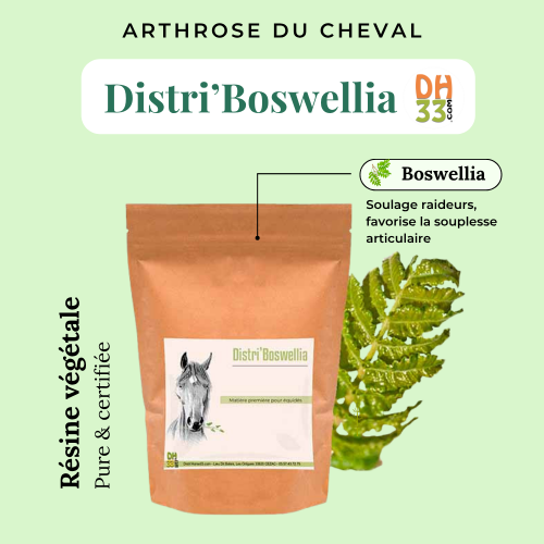 Distri'Boswellia - Arthrose du cheval - DistriHorse33
