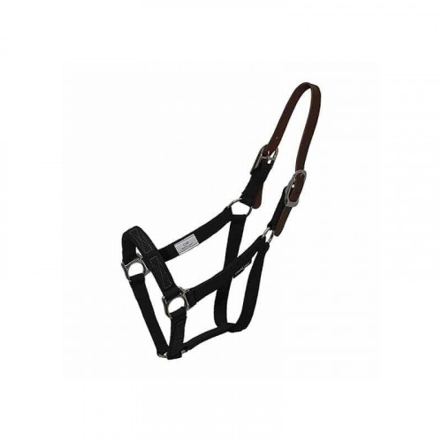 Licol anti-frottement à rupture ThinLine – Confort optimal & compatible muselière anti-pâturage