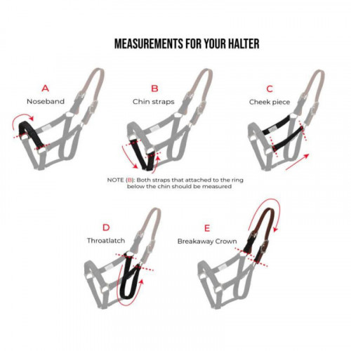 Licol anti-frottement à rupture ThinLine – Confort optimal & compatible muselière anti-pâturage