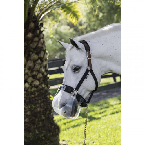 Doublures anti-frottement pour licol cheval ThinLine – Confort renforcé & protection zones sensibles