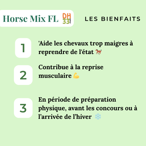 Horse Mix FL - Confort digestif et poids