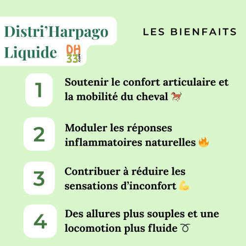 Distri'Harpago Liquide - Arthrose et douleur du cheval