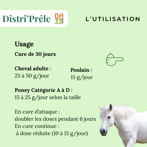 Prêle cheval – Plante riche en silice pour articulations et tendons