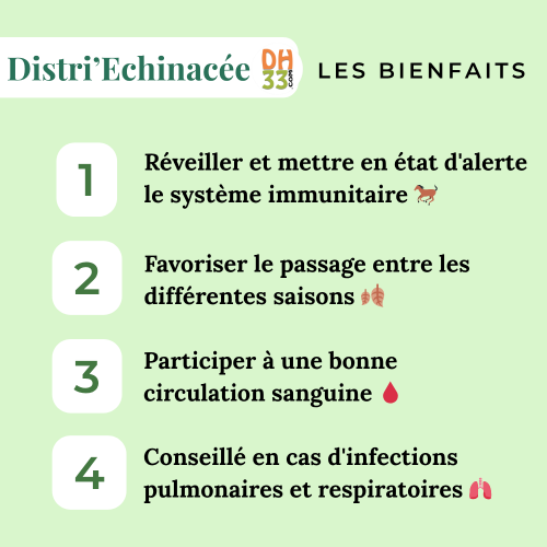 Echinacée Cheval - Accompagne les défenses immunitaires