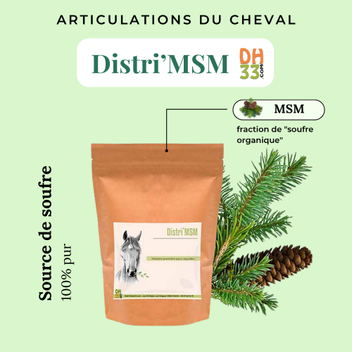 MSM pour cheval : Source de soufre, 100% pur