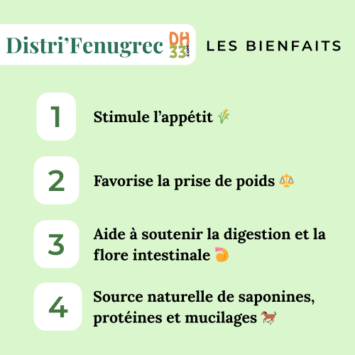Fenugrec Cheval - Prise de Masse Naturelle et Stimulation de l'Appétit | DistriHorse33
