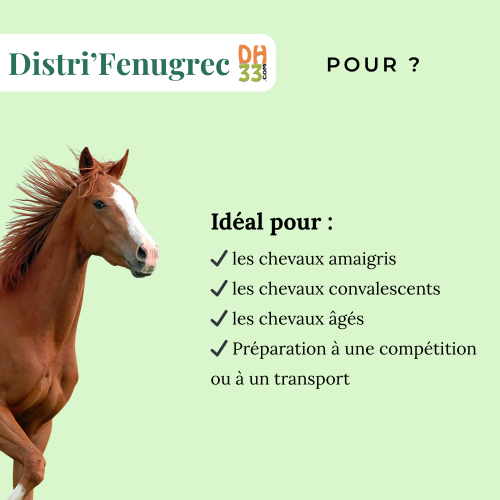 Fenugrec Cheval - Prise de Masse Naturelle et Stimulation de l'Appétit | DistriHorse33